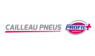 CAILLEAU PNEUS