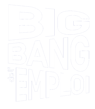 Logo de Big Bang de l'Emploi