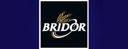 Bridor