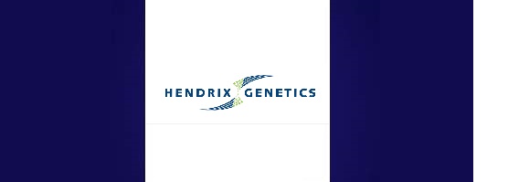 Hendrix Genetics Turkeys France